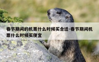 春节期间的机票什么时候买合适-春节期间机票什么时候买便宜