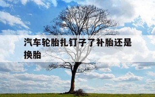 汽车轮胎扎钉子了补胎还是换胎-车轮胎扎了个钉子补胎影响吗