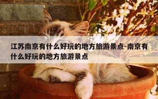 江苏南京有什么好玩的地方旅游景点-南京有什么好玩的地方旅游景点