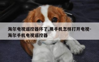 海尔电视遥控器坏了,用手机怎样打开电视-海尔手机电视遥控器