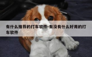 有什么推荐的打车软件-有没有什么好用的打车软件