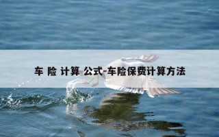 车 险 计算 公式-车险保费计算方法