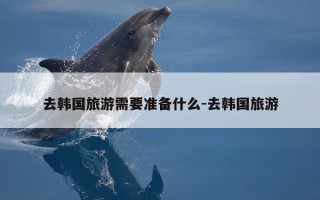 去韩国旅游需要准备什么-去韩国旅游