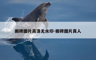 搬砖图片高清无水印-搬砖图片真人