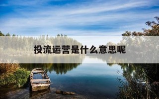 投流运营是什么意思呢-投流roi