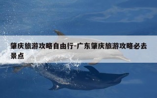 肇庆旅游攻略自由行-广东肇庆旅游攻略必去景点