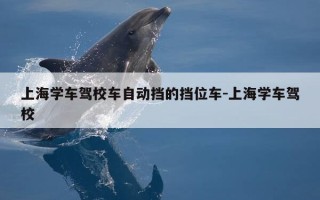 上海学车驾校车自动挡的挡位车-上海学车驾校