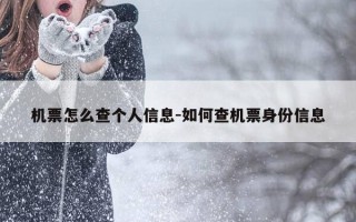 机票怎么查个人信息-如何查机票身份信息