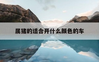 属猪的适合开什么颜色的车-属猪的人开车什么颜色好