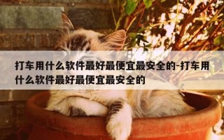 打车用什么软件最好最便宜最安全的-打车用什么软件最好最便宜最安全的