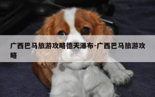 广西巴马旅游攻略德天瀑布-广西巴马旅游攻略