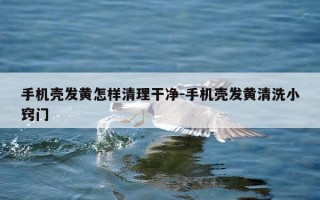 手机壳发黄怎样清理干净-手机壳发黄清洗小窍门