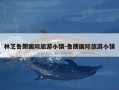 林芝鲁朗国际旅游小镇-鲁朗国际旅游小镇