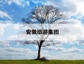 安徽旅游集团-安徽旅游集团有限公司