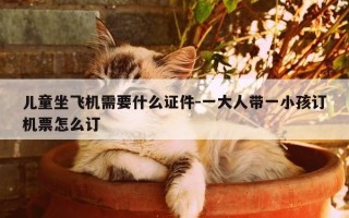 儿童坐飞机需要什么证件-一大人带一小孩订机票怎么订