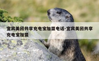 宜宾美团共享充电宝加盟电话-宜宾美团共享充电宝加盟