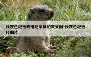 浅灰色地板砖搭配家具的效果图-浅灰色地板砖图片