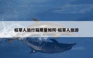 稻草人旅行箱质量如何-稻草人旅游