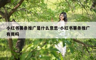 小红书薯条推广是什么意思-小红书薯条推广有用吗