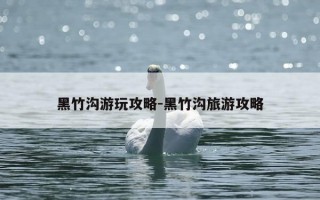 黑竹沟游玩攻略-黑竹沟旅游攻略