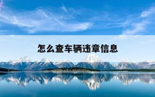 怎么查车辆违章信息-怎么查车辆违章信息电话