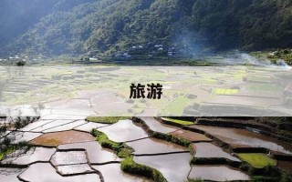 旅游-旅游景点排行榜前十名张家界