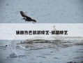 迪丽热巴旅游综艺-旅游综艺