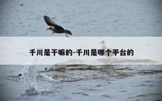 千川是干嘛的-千川是哪个平台的