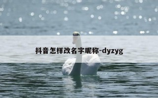 抖音怎样改名字昵称-dyzyg