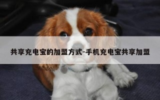 共享充电宝的加盟方式-手机充电宝共享加盟