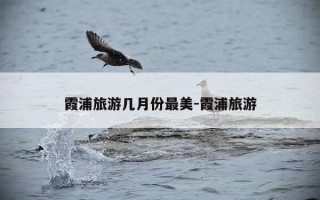 霞浦旅游几月份最美-霞浦旅游