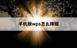 手机版wps怎么排版-手机wps怎么排版页面