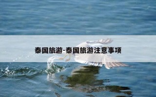 泰国旅游-泰国旅游注意事项