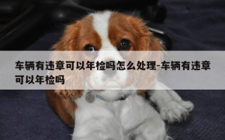 车辆有违章可以年检吗怎么处理-车辆有违章可以年检吗