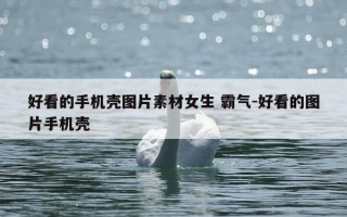好看的手机壳图片素材女生 霸气-好看的图片手机壳