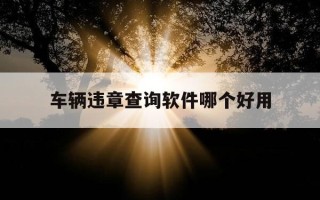 车辆违章查询软件哪个好用-车辆违章查询下载哪个软件最准确