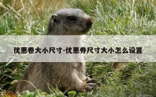 优惠卷大小尺寸-优惠券尺寸大小怎么设置