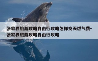 张家界旅游攻略自由行攻略怎样交天燃气费-张家界旅游攻略自由行攻略
