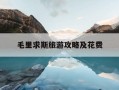 毛里求斯旅游攻略及花费-毛里求斯旅游怎么样