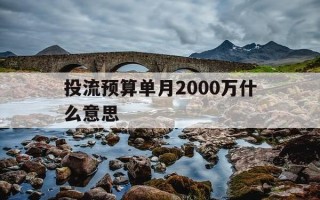 投流预算单月2000万什么意思-抖音投流预算