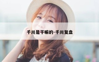 千川是干嘛的-千川复盘