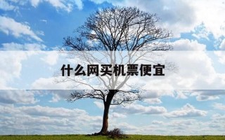什么网买机票便宜-什么网站购机票更便宜