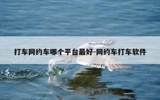 打车网约车哪个平台最好-网约车打车软件