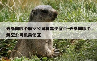 去泰国哪个航空公司机票便宜点-去泰国哪个航空公司机票便宜