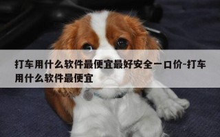 打车用什么软件最便宜最好安全一口价-打车用什么软件最便宜