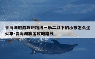 青海湖旅游攻略路线一米二以下的小孩怎么坐火车-青海湖旅游攻略路线