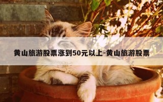 黄山旅游股票涨到50元以上-黄山旅游股票