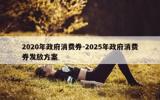 2020年政府消费券-2025年政府消费券发放方案