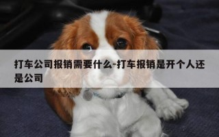 打车公司报销需要什么-打车报销是开个人还是公司