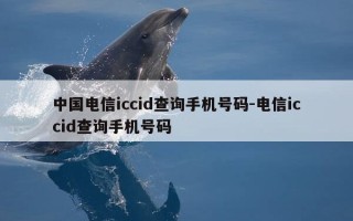 中国电信iccid查询手机号码-电信iccid查询手机号码